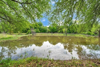 Idealic country place. Make it your own. Beautiful 6.02 acres - photo 31