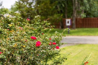 Tucked beneath a mature hardwood canopy in an established - photo 35