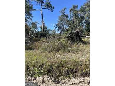 (private lake, pond, coastal) Acreage Sale Pending in Valdosta Georgia