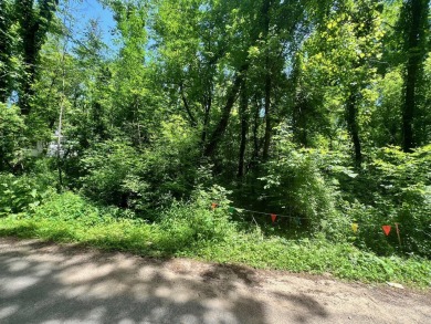 Little Crooked Lake Lot For Sale in Dowagiac Michigan