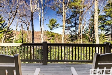Lake Toxaway Gem - Offered Fully Furnished: Thoughtfully - photo 50