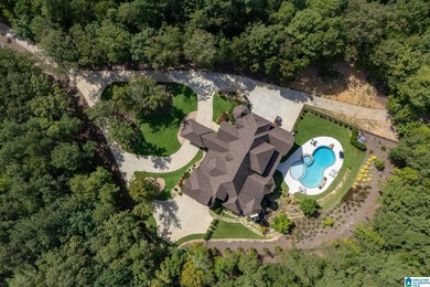 (private lake, pond, coastal) Home For Sale in Indian Springs Village Alabama