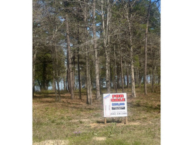 Lake Lot For Sale in LaRue, Texas