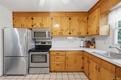 Welcome to 58 Highland Ave located in the well-sought Patchogue - photo 11