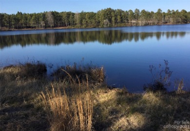 Pine Lake Lot Sale Pending in Marston North Carolina