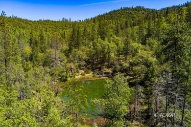 Perched atop 160 acres in the rugged beauty of Douglas City in - photo 42