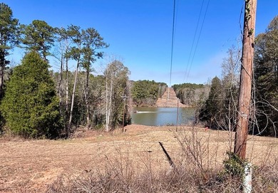Must-See Opportunity: Two Unrestricted Waterfront Lots for the - photo 3