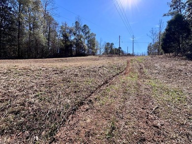 Must-See Opportunity: Two Unrestricted Waterfront Lots for the - photo 4
