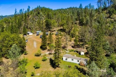 Perched atop 160 acres in the rugged beauty of Douglas City in - photo 46