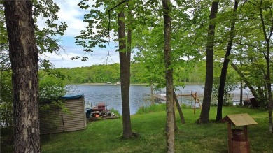 Lake Home For Sale in Garrison Twp, Minnesota