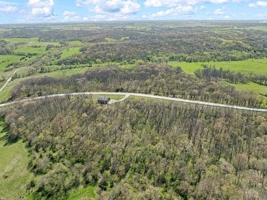 Nearly 10 acres of prime recreational ground with established - photo 3