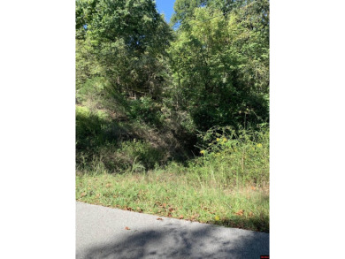 Lake Lot For Sale in Midway, Arkansas