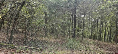 (private lake, pond, creek) Acreage For Sale in Mountain Home Arkansas