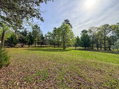#73090-Located in the Sandie Point subdivision just minutes from - photo 17
