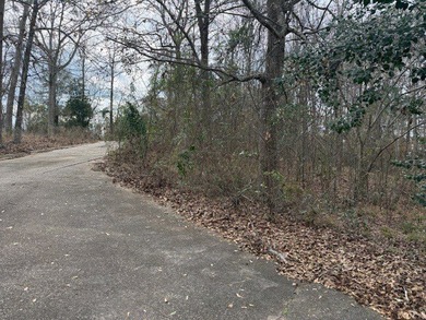 Don't miss out on this gentle sloping lakefront lot. Property - photo 3
