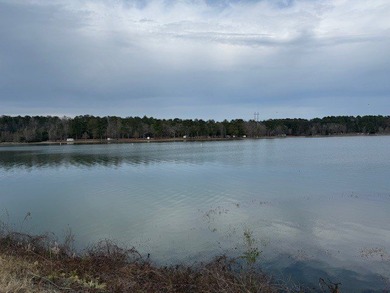 Don't miss out on this gentle sloping lakefront lot. Property - photo 5