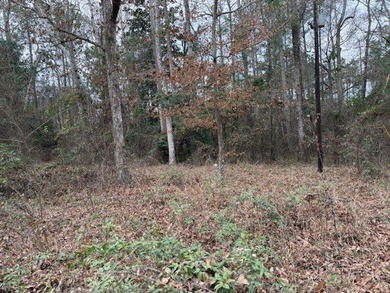 Don't miss out on this gentle sloping lakefront lot. Property - photo 6