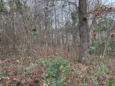 Don't miss out on this gentle sloping lakefront lot. Property - photo 7