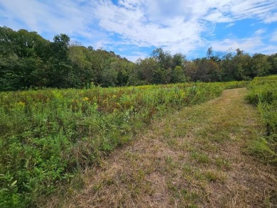 (private lake, pond, creek) Acreage For Sale in Buffalo Valley Tennessee