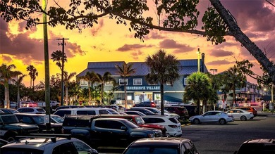Coastal Charm Meets Historic Soul: Your Punta Gorda Sanctuary - photo 49