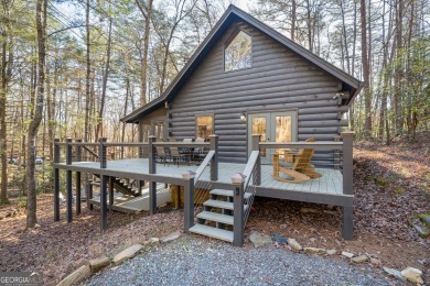 Lake Home For Sale in Blue Ridge, Georgia