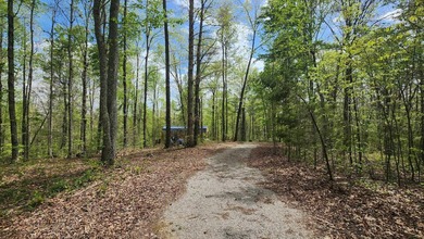 Discover your private escape on 10.94 +/- wooded acres close to - photo 2