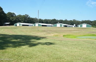 Discover the ultimate poultry farming opportunity with this - photo 3