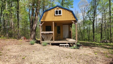 Discover your private escape on 10.94 +/- wooded acres close to - photo 7