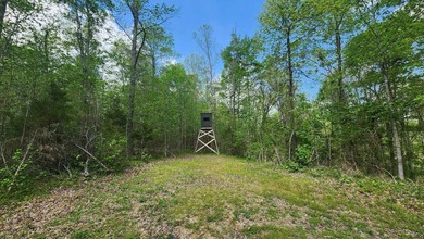 Discover your private escape on 10.94 +/- wooded acres close to - photo 10