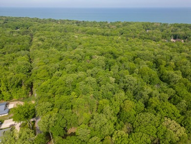 Rare opportunity to build your own legacy property on 49.9 acres - photo 3