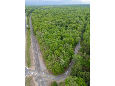 Rare opportunity to build your own legacy property on 49.9 acres - photo 4