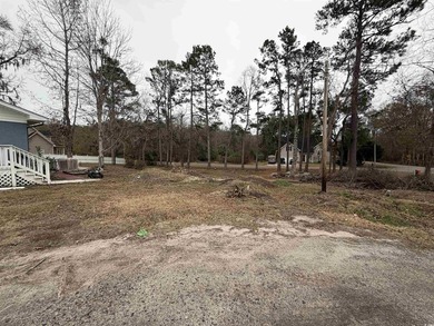 Beautifully Renovated Single-Level Home on a Spacious Acre Lot - photo 5