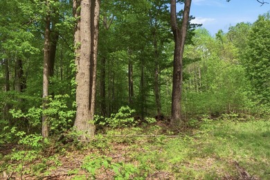 Rare opportunity to build your own legacy property on 49.9 acres - photo 6