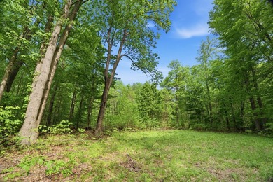 Rare opportunity to build your own legacy property on 49.9 acres - photo 7