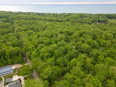 Rare opportunity to build your own legacy property on 49.9 acres - photo 8
