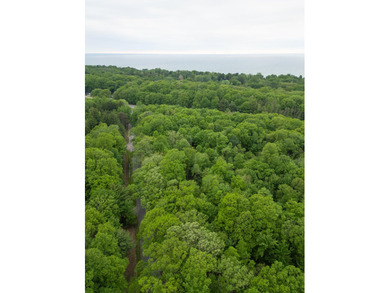 Rare opportunity to build your own legacy property on 49.9 acres - photo 9