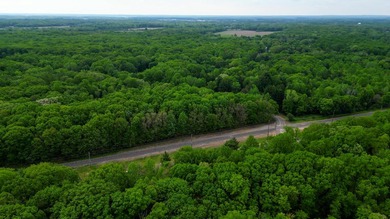 Rare opportunity to build your own legacy property on 49.9 acres - photo 10