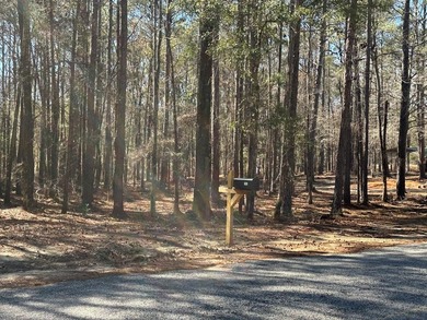 Lake Eufaula / Walter F George Reservoir Lot For Sale in Abbeville Alabama