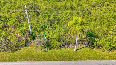 Discover this unique property located along A1A on beautiful - photo 47