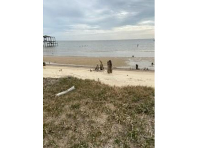 (private lake, pond, coastal) Lot For Sale in Coden Alabama