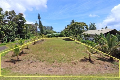 Prime Keaukaha Lot - Just Moments from the Beach! Build Your - photo 8