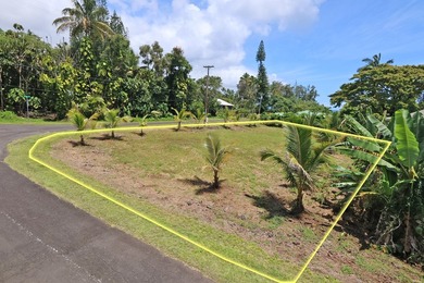 Prime Keaukaha Lot - Just Moments from the Beach! Build Your - photo 9