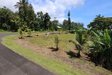 Prime Keaukaha Lot - Just Moments from the Beach! Build Your - photo 10