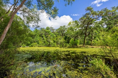 Lake Acreage For Sale in Johns Island, South Carolina