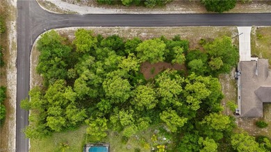 Lehigh Acres Area Lot For Sale in Alva Florida