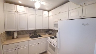 Century Village is a resort-style active adult (55+) community - photo 6