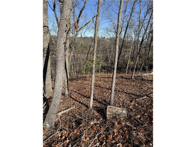 Lake Lot For Sale in Rogers, Arkansas