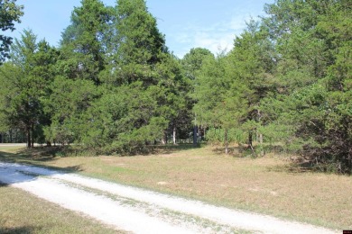 Bull Shoals Lake Lot For Sale in Protem Missouri