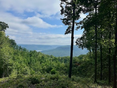 Nick-a-Jack Lake Acreage For Sale in Guild Tennessee