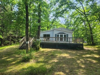 Lake Home For Sale in Baldwin, Michigan